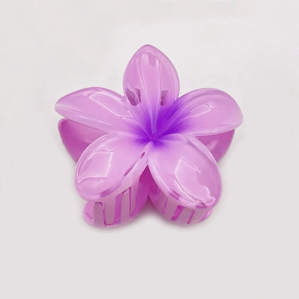 Set of 6 Hair Clips