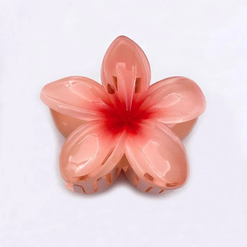 Set of 6 Hair Clips