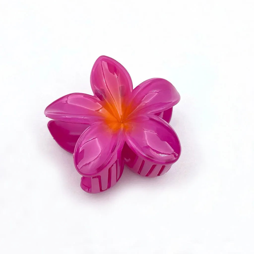 Set of 6 Hair Clips