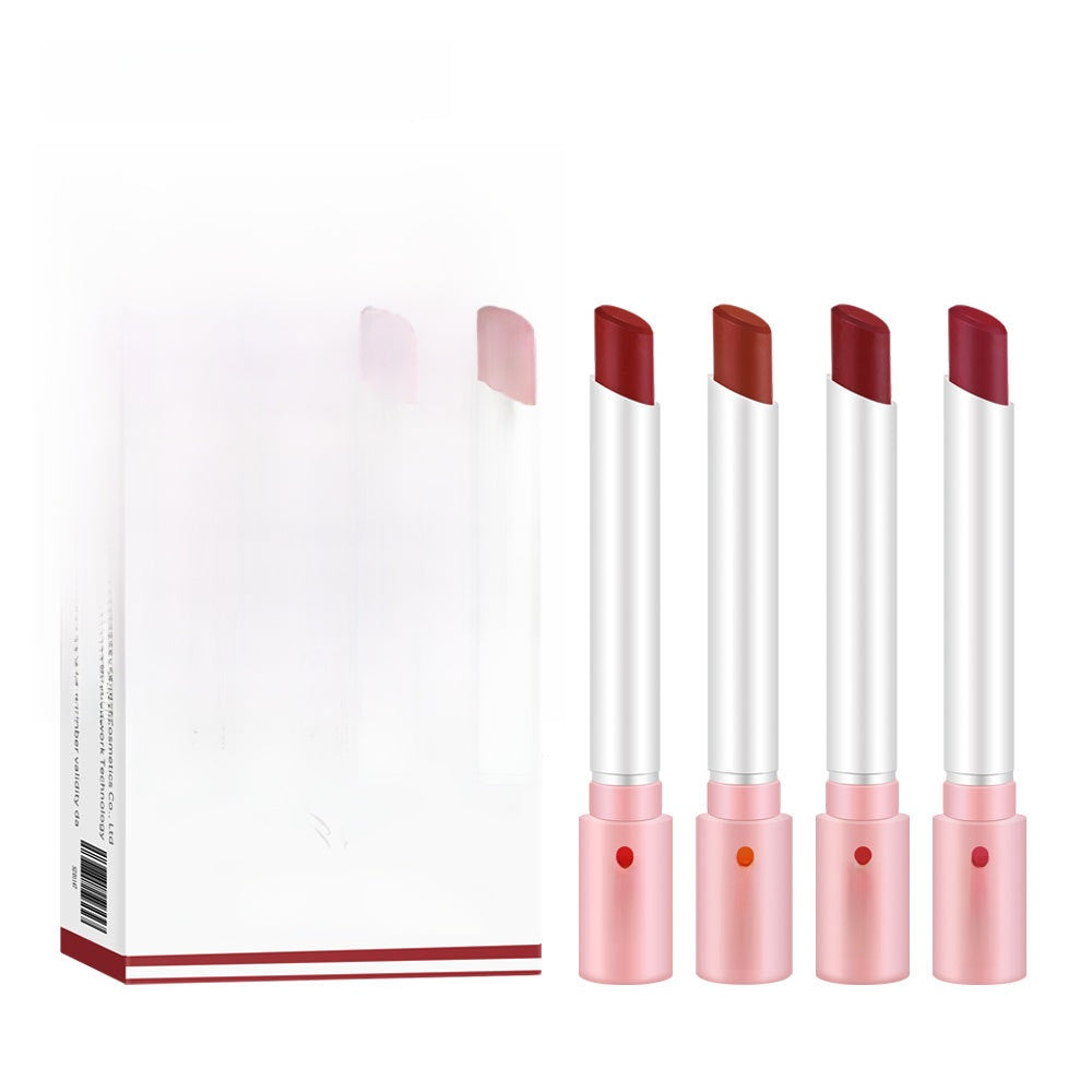 Velvet Matte Matte Lipstick Lip Gloss 4 Pieces