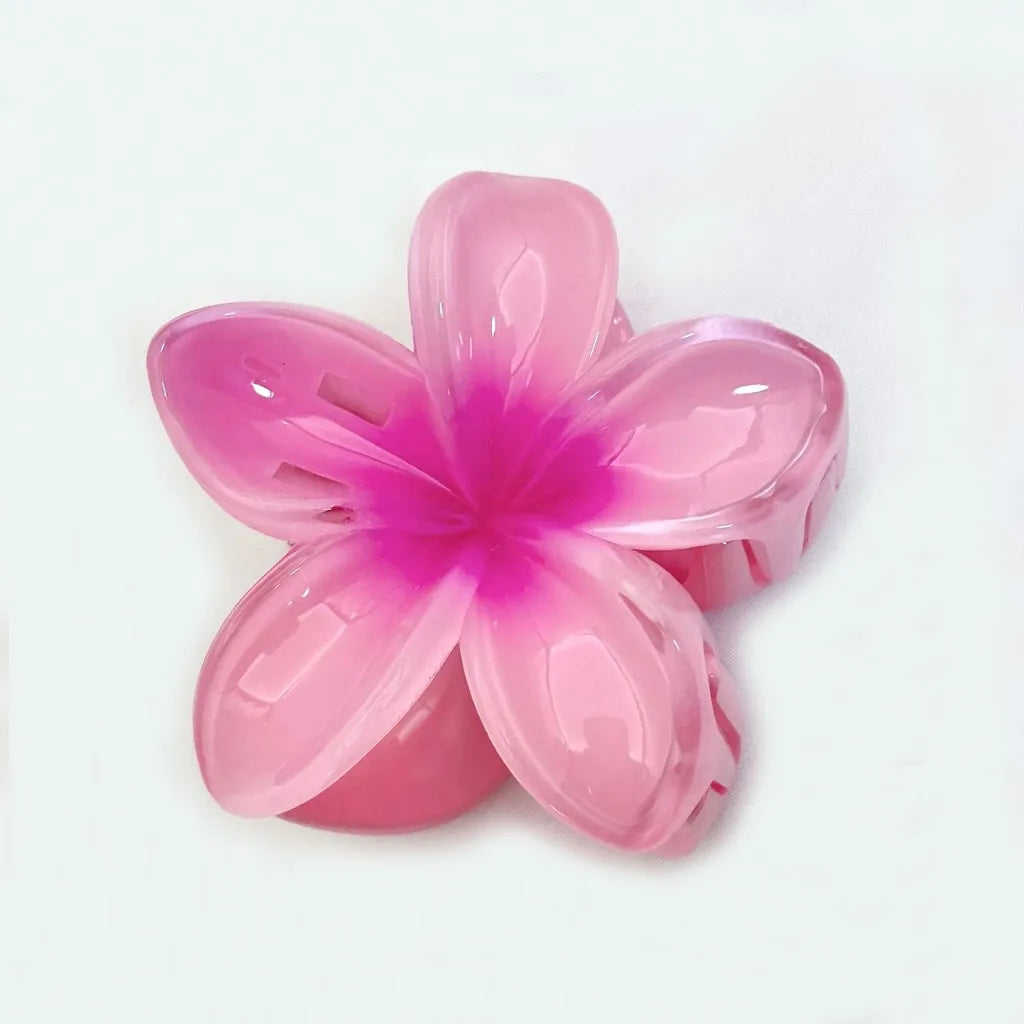 Set of 6 Hair Clips