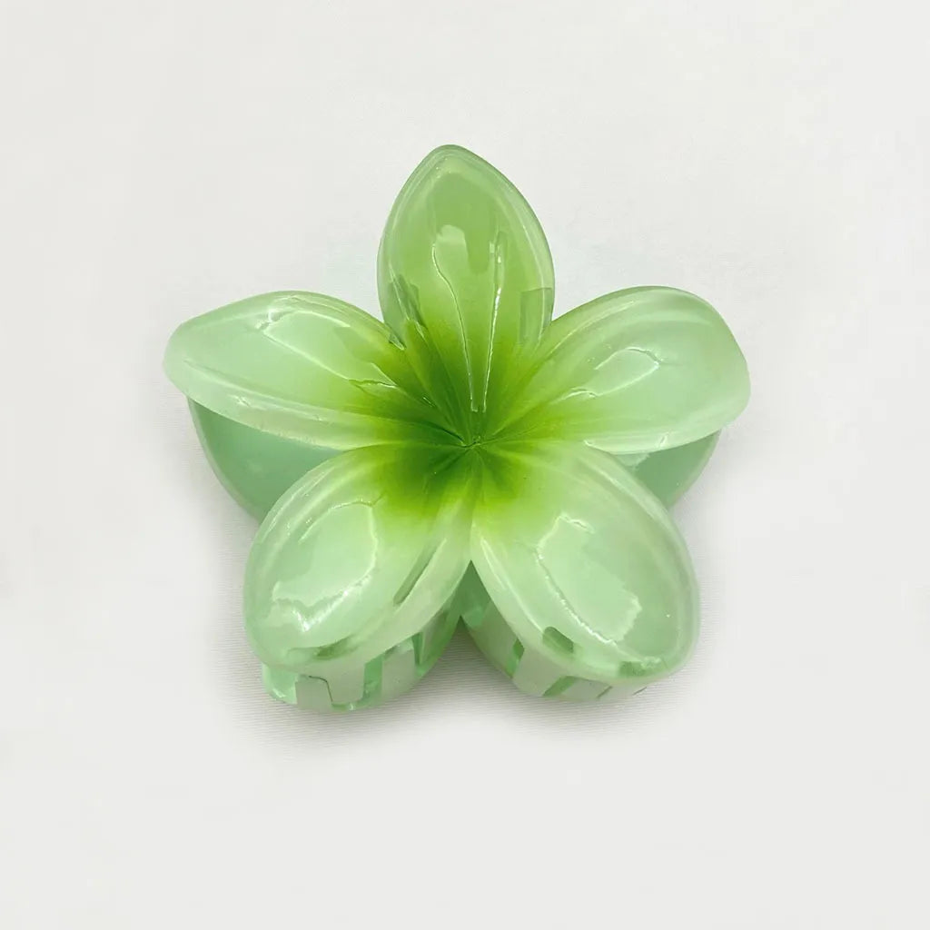 Set of 6 Hair Clips
