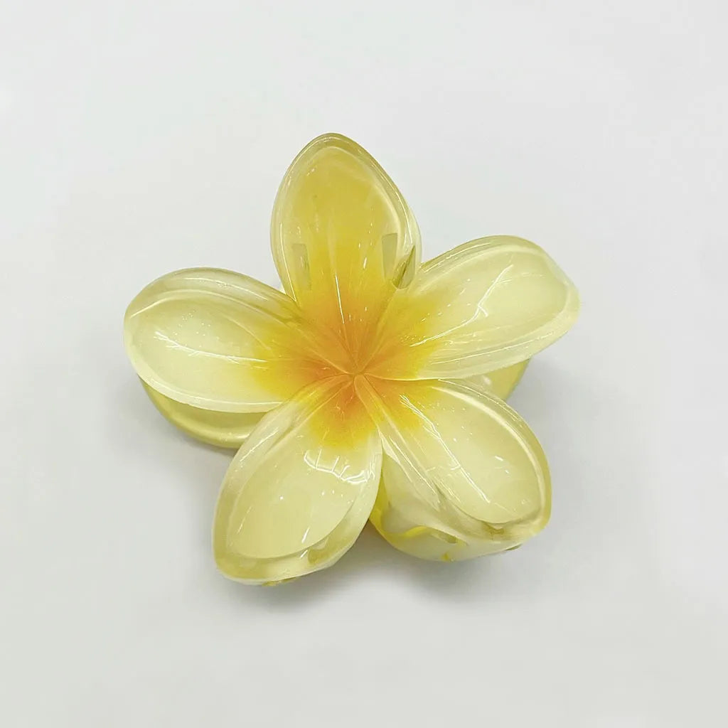 Set of 6 Hair Clips
