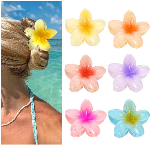 Set of 6 Hair Clips