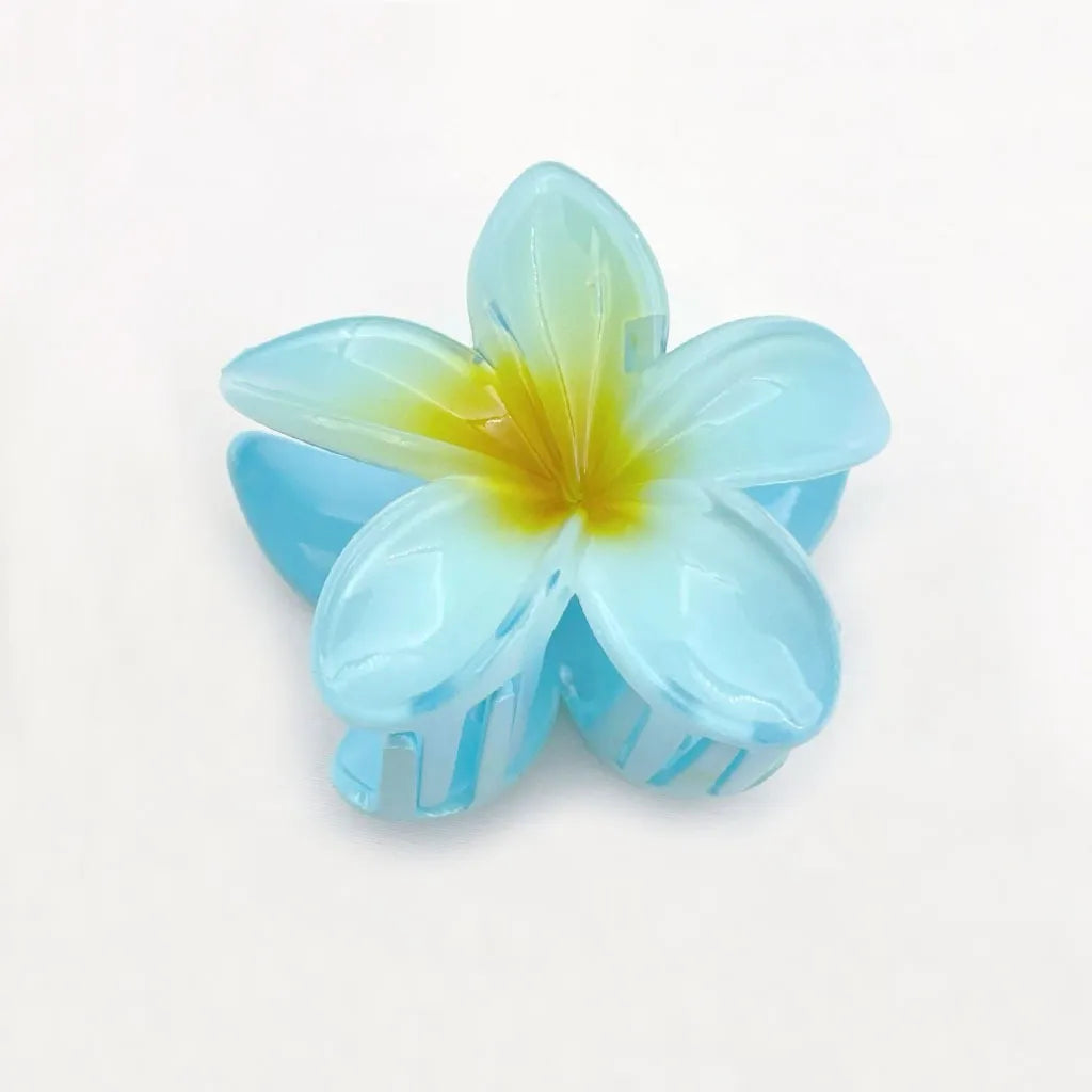 Set of 6 Hair Clips
