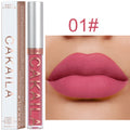 Matte lip gloss
