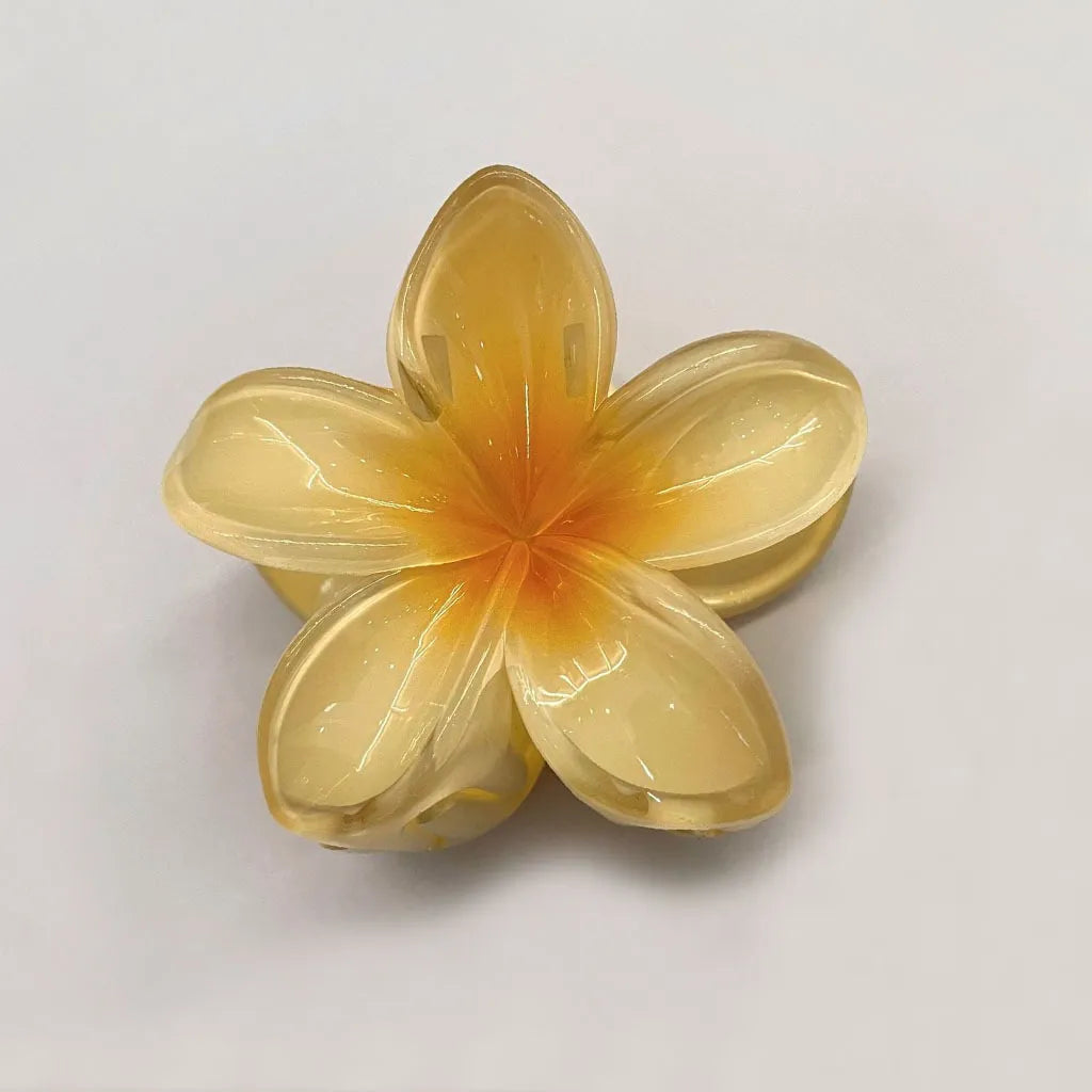 Set of 6 Hair Clips