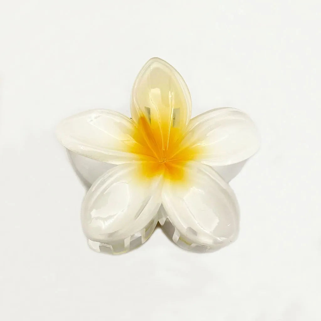 Set of 6 Hair Clips